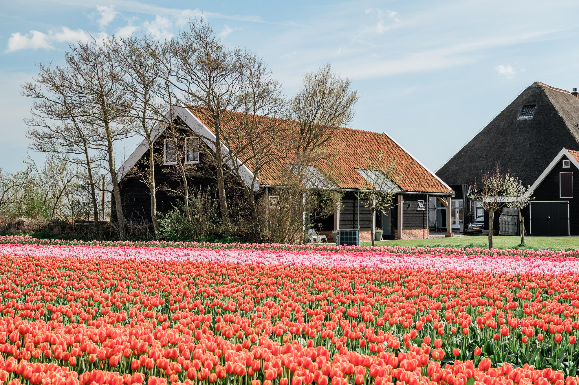 Nature house in Burgerbrug