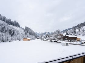 Natuurhuisje in Saalbach-Hinterglemm