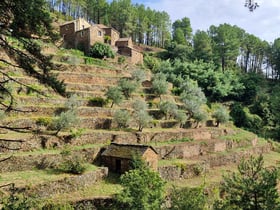 Natuurhuisje in MALBOSC