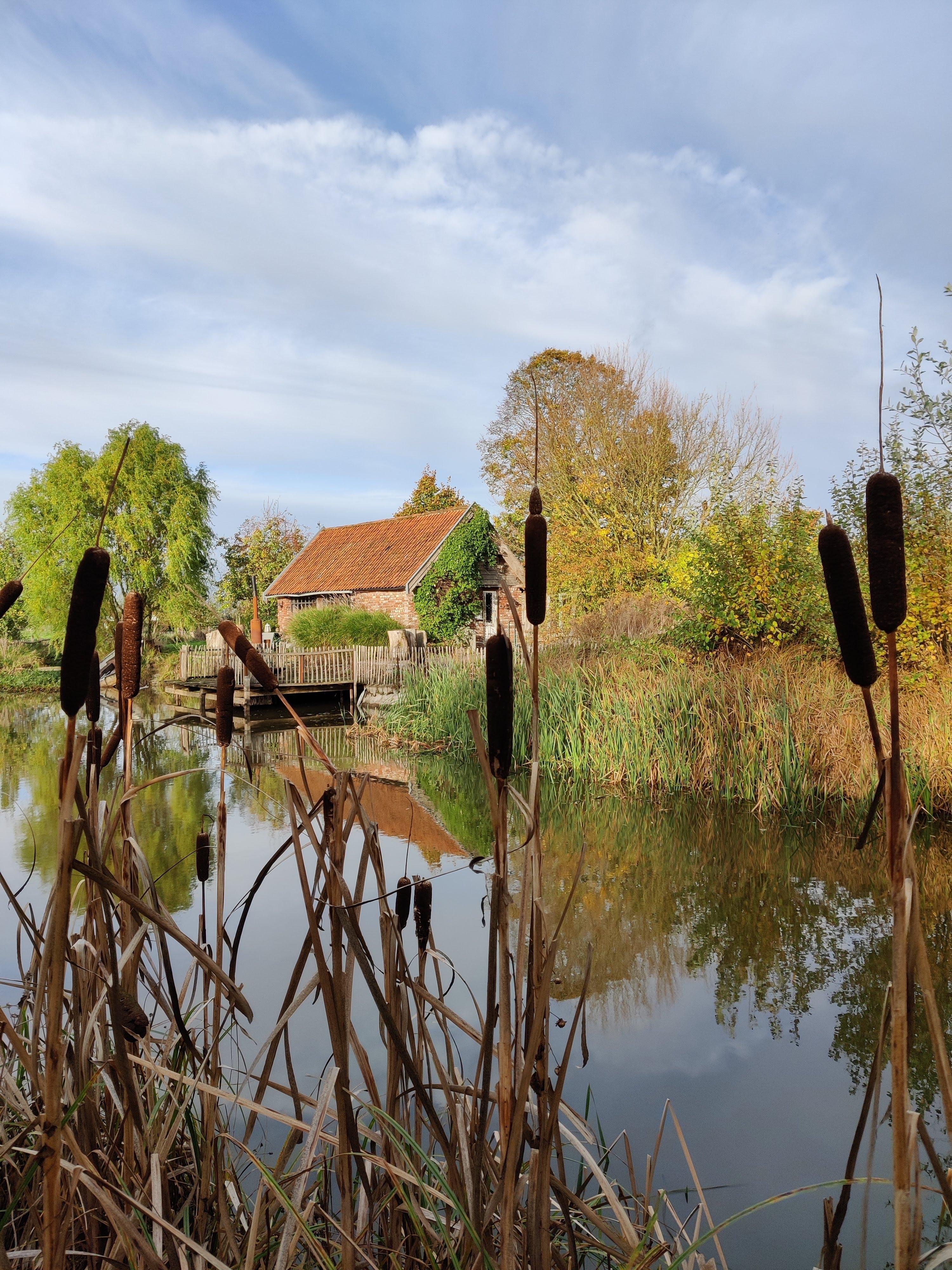 Maison nature à zarren