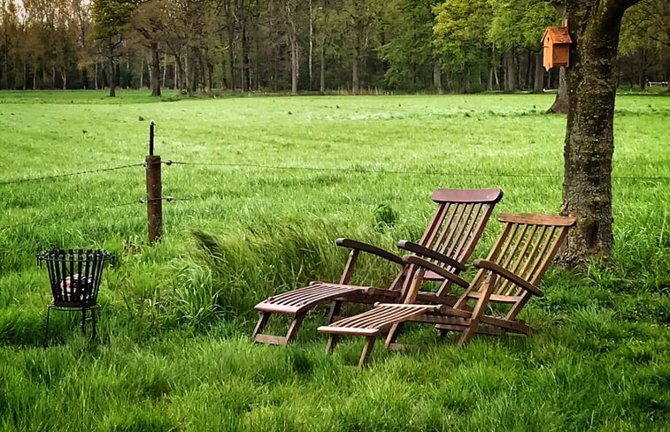 Natuurhuisje in Diepenheim