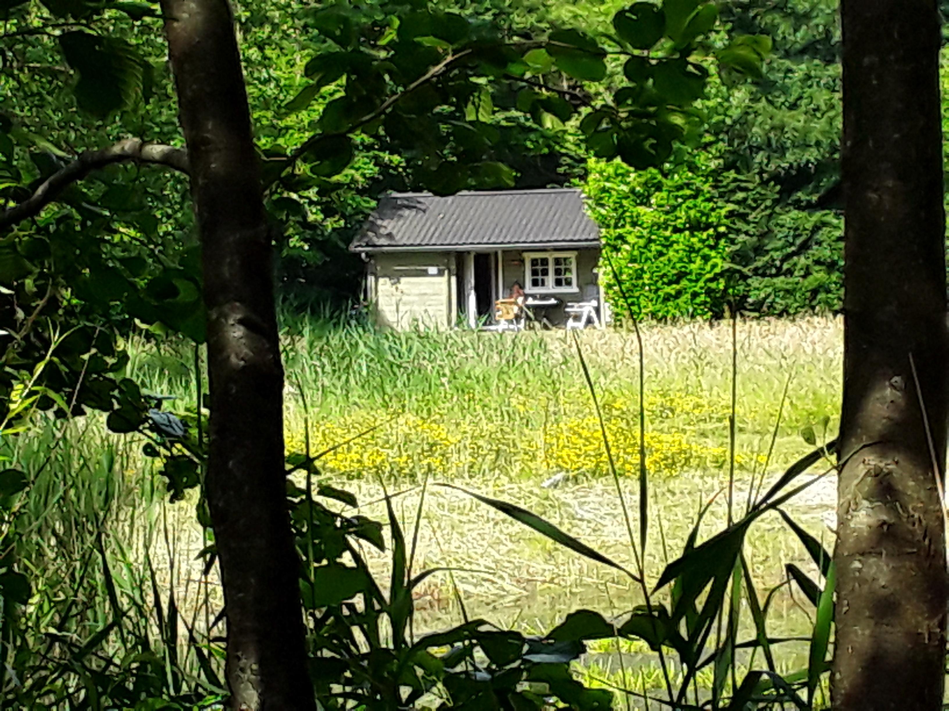 Nature house in Appelscha