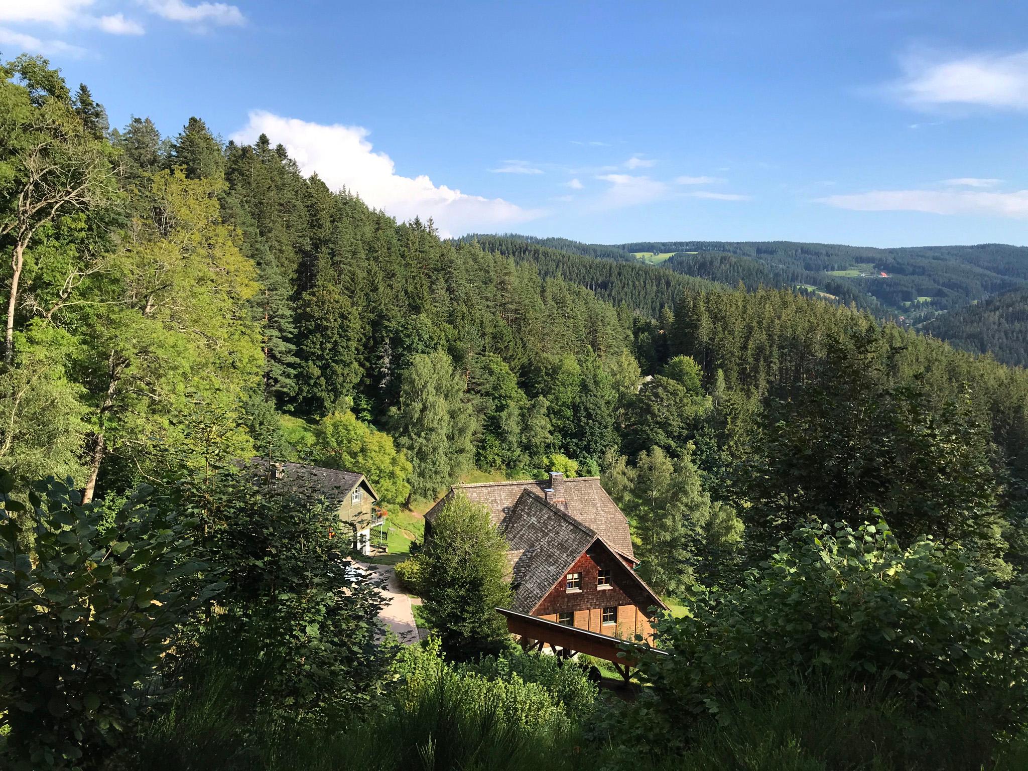 Maison nature à Triberg