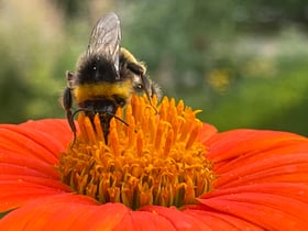 Maison nature à Valigny