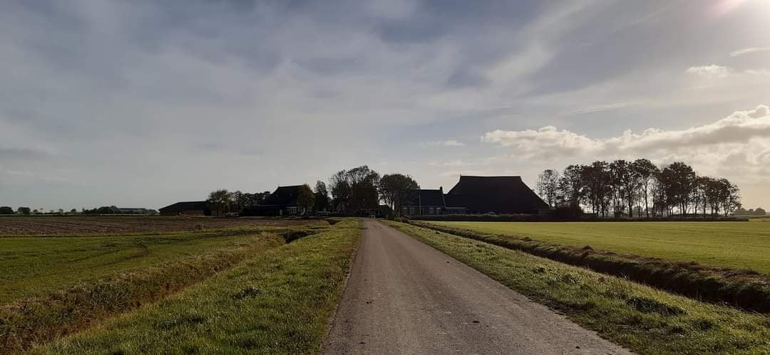 Natuurhuisje in Holwerd