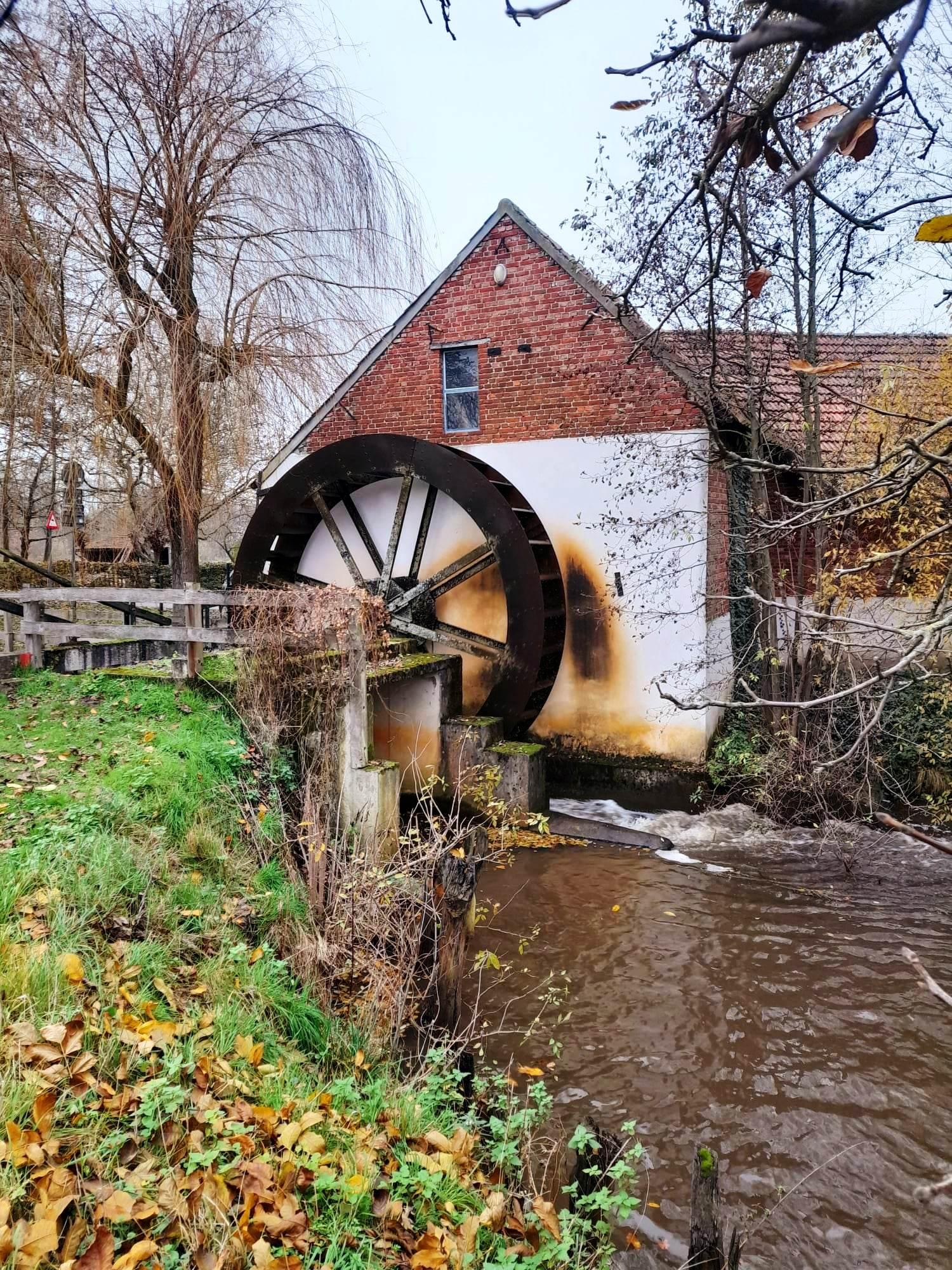Maison nature à Bocholt