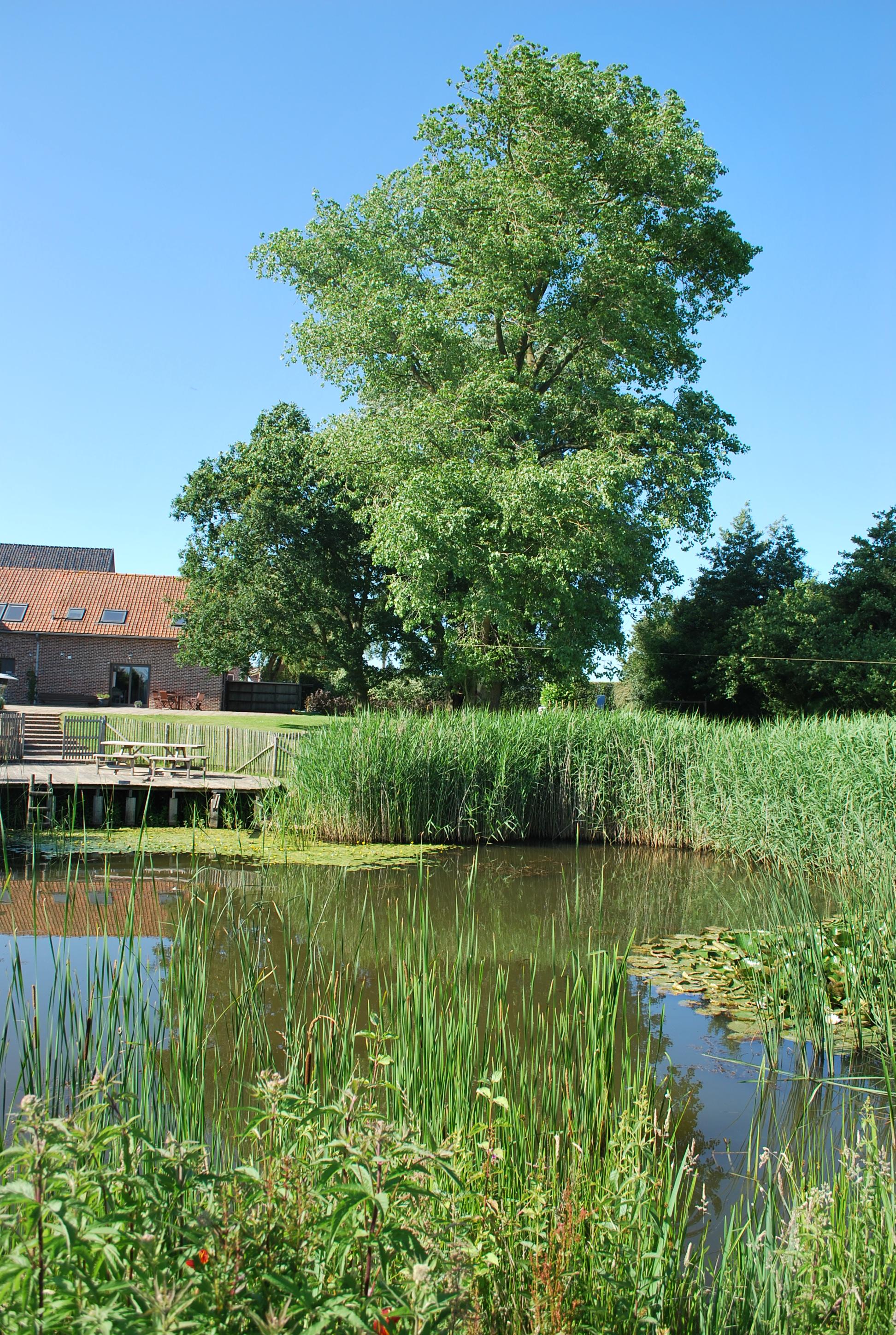 Maison nature à Watou
