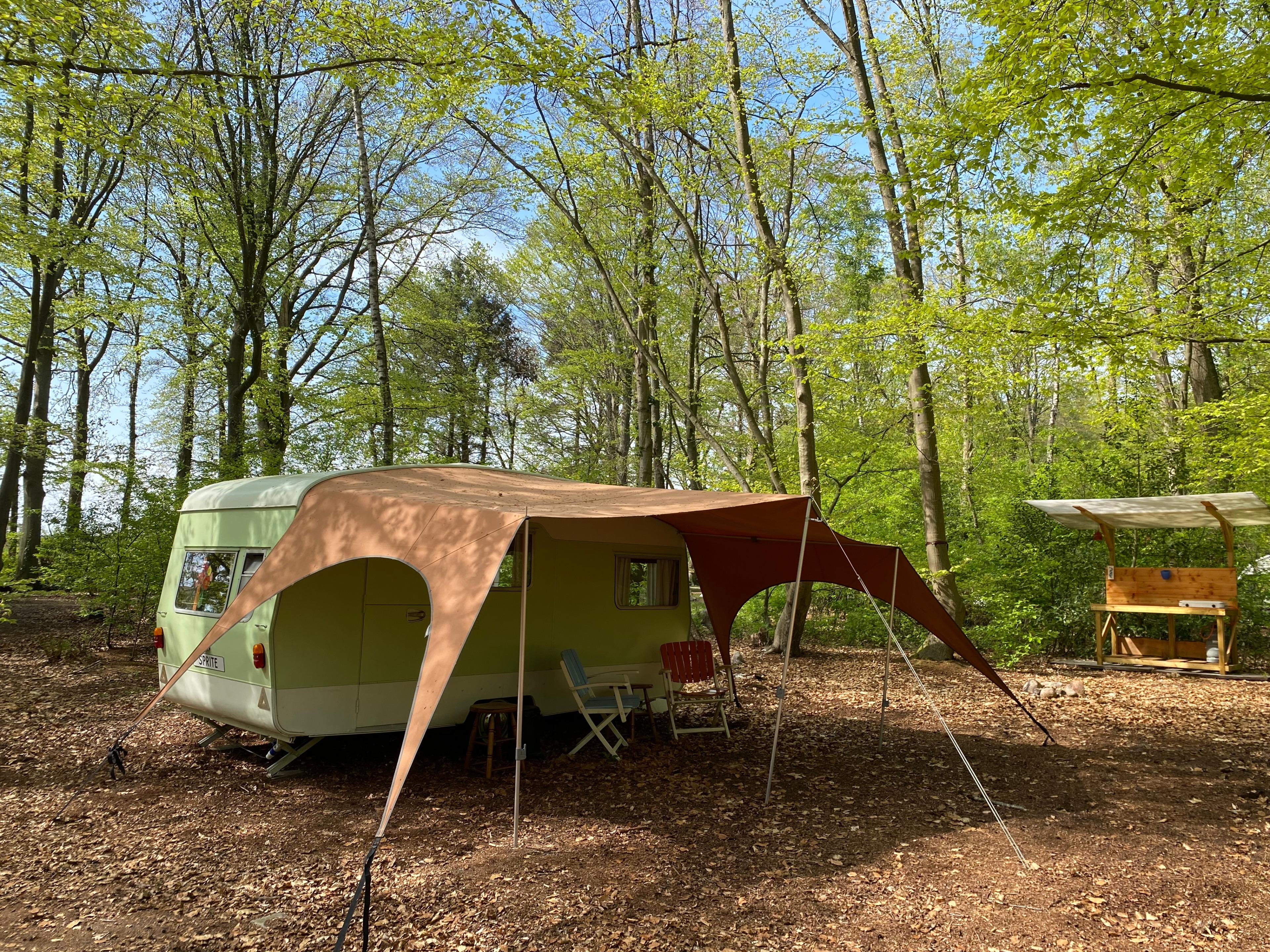 Natuurhuisje in Papenvoort