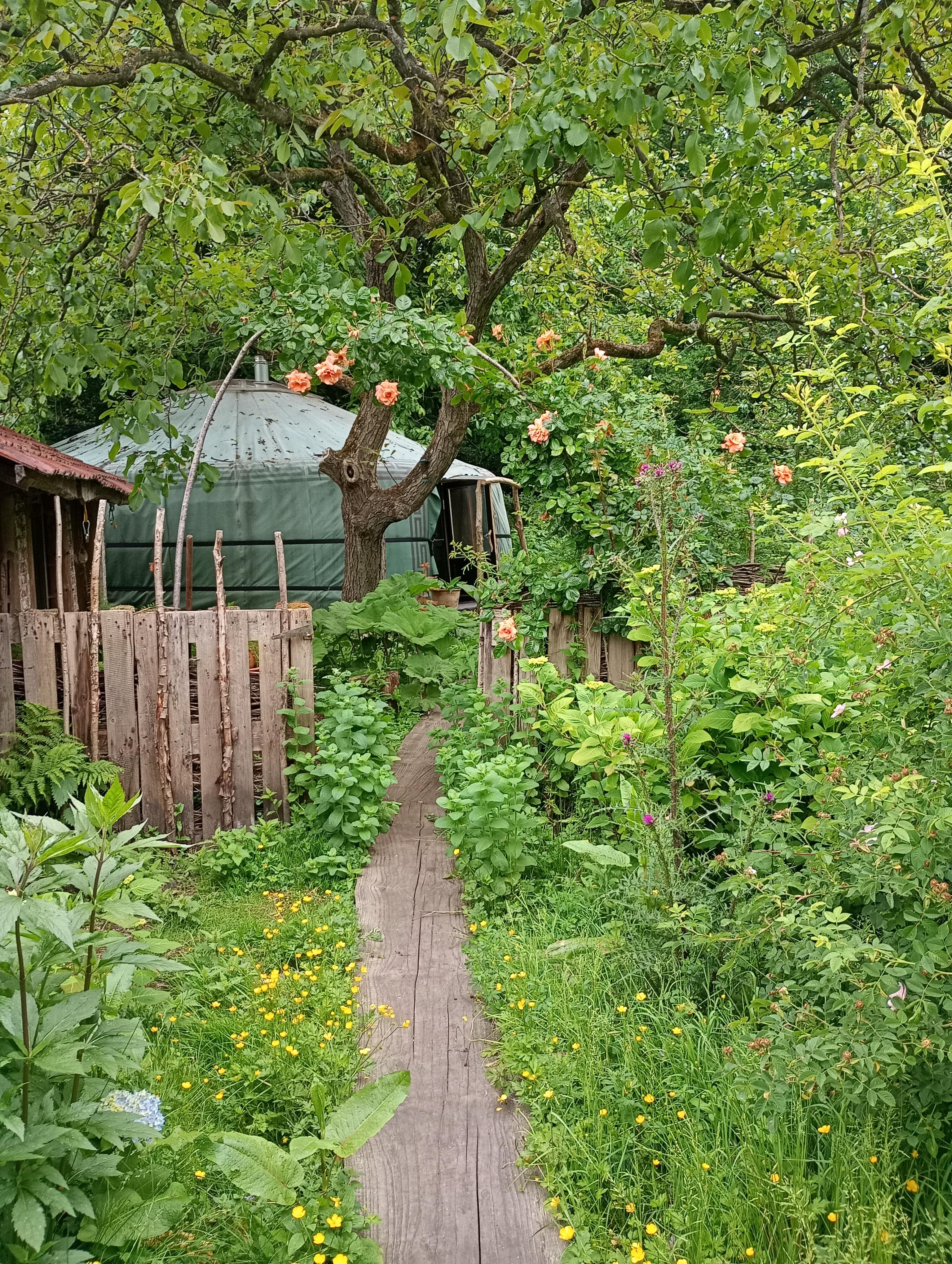 Casa nella natura a Waardamme