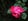 - image: 15