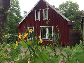 Maison nature dans Zuidwolde