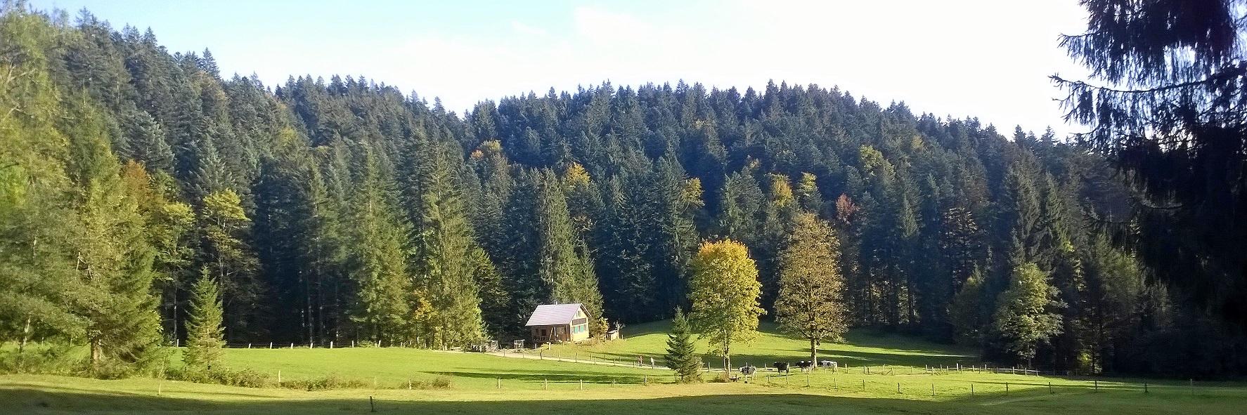 Maison nature à Bregenz