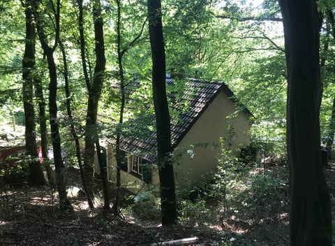 Maison nature dans Sundern (Sauerland) - thumbnail: 24: 24