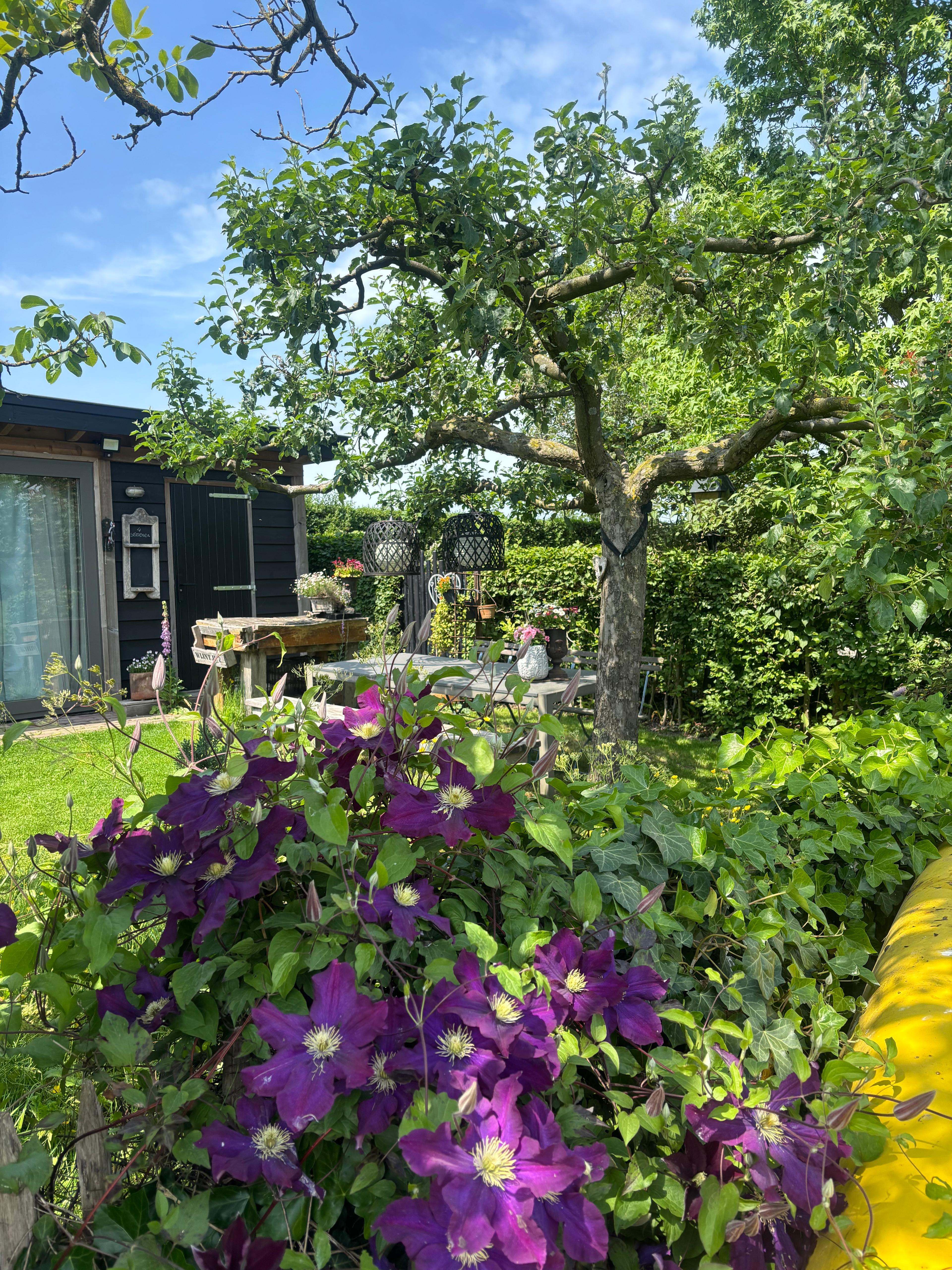 Natuurhuisje in Zoelen