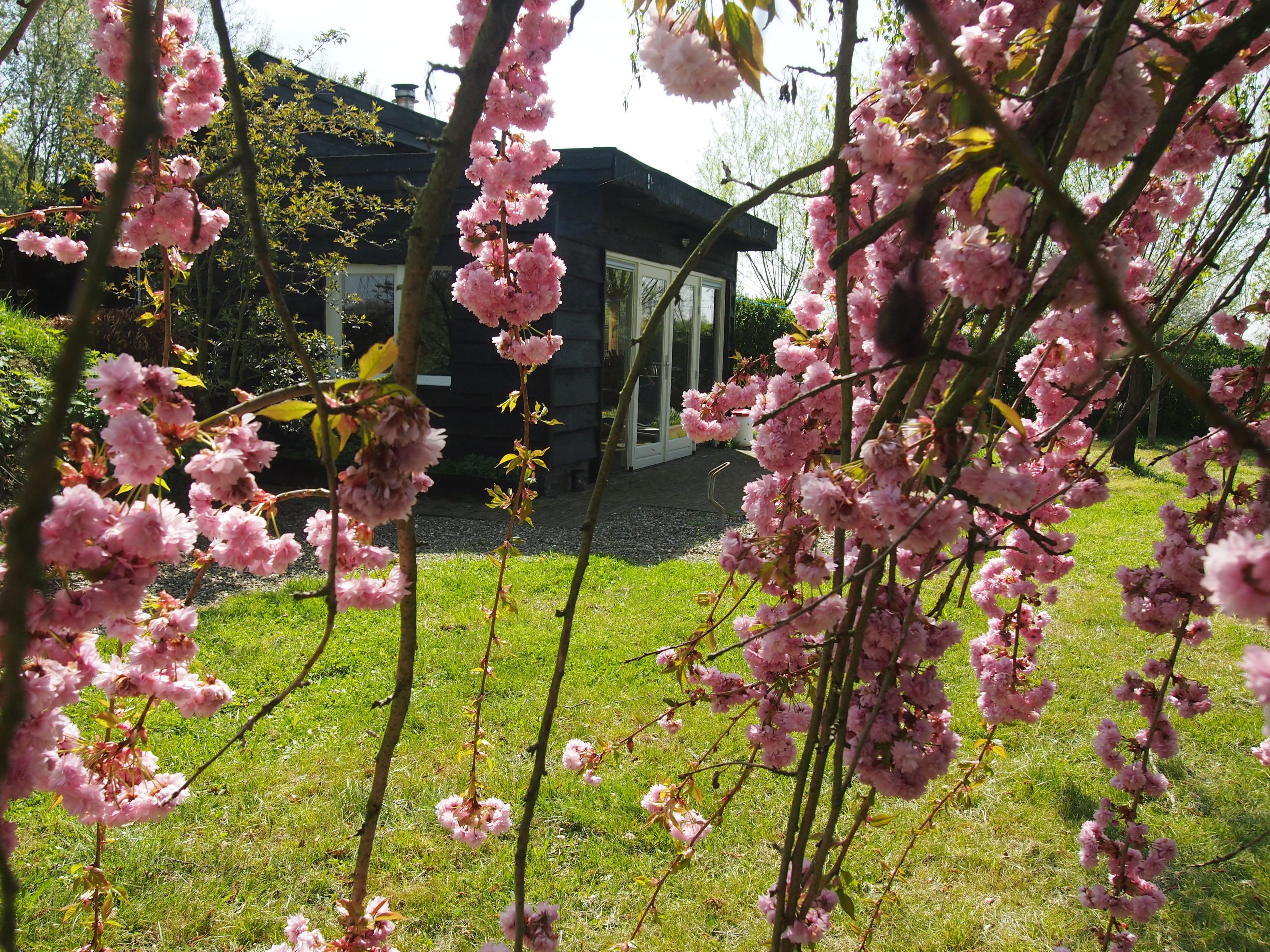 Casa nella natura a Grathem