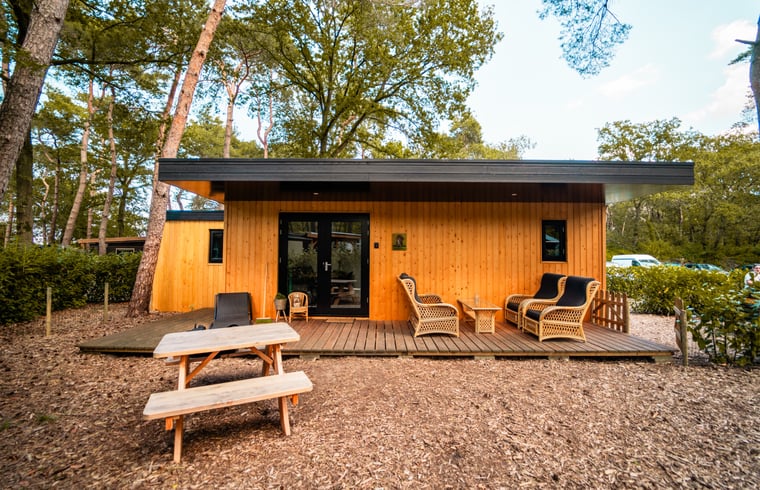 Natuurhuisje in Zuidwolde