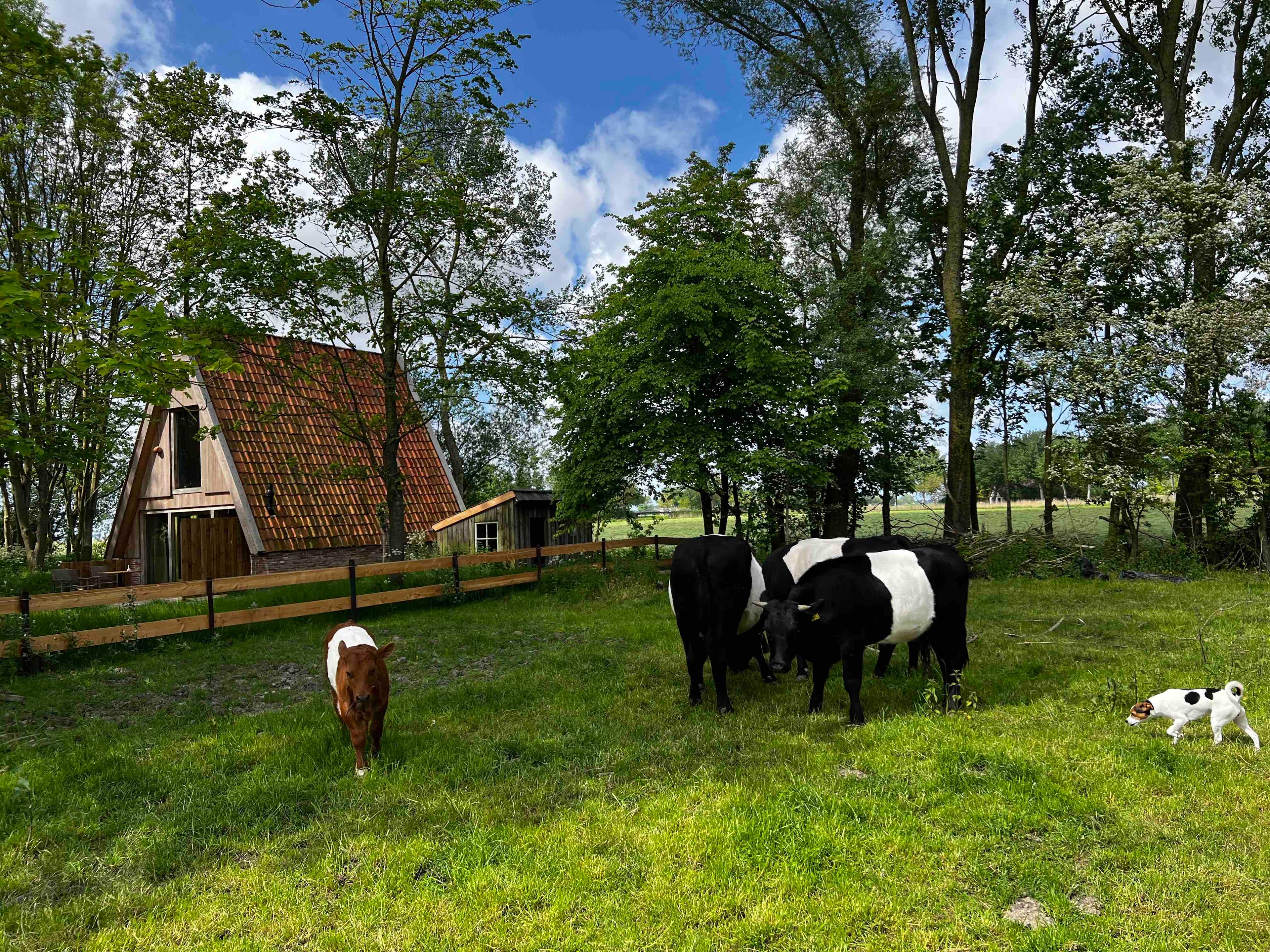 Maison nature à Tinallinge