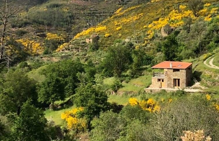 Tiny house in Benfeita — foto 1