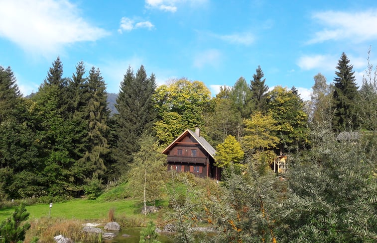 Nature house in Bad Mitterndorf: 8