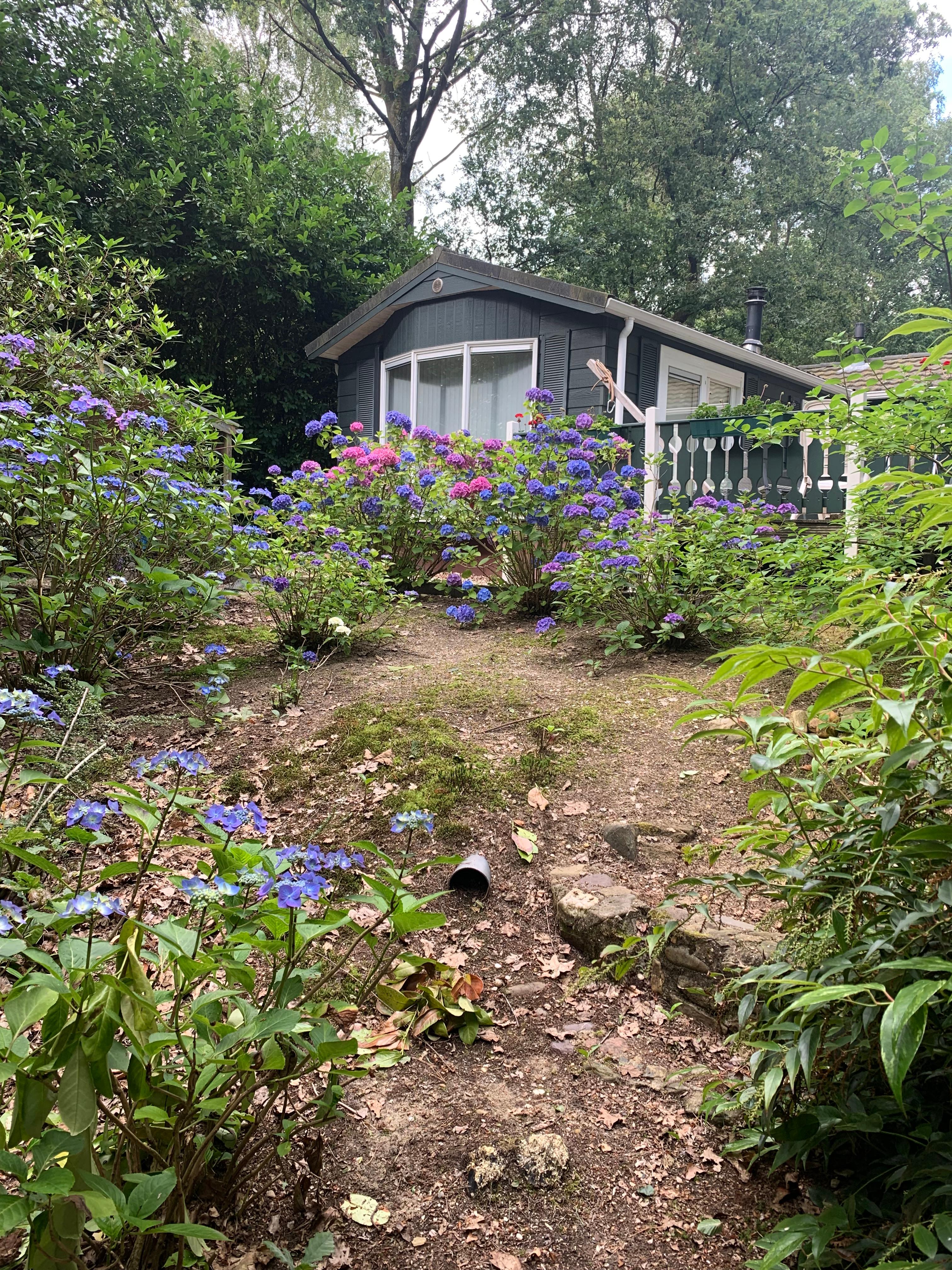 Nature house in Groesbeek
