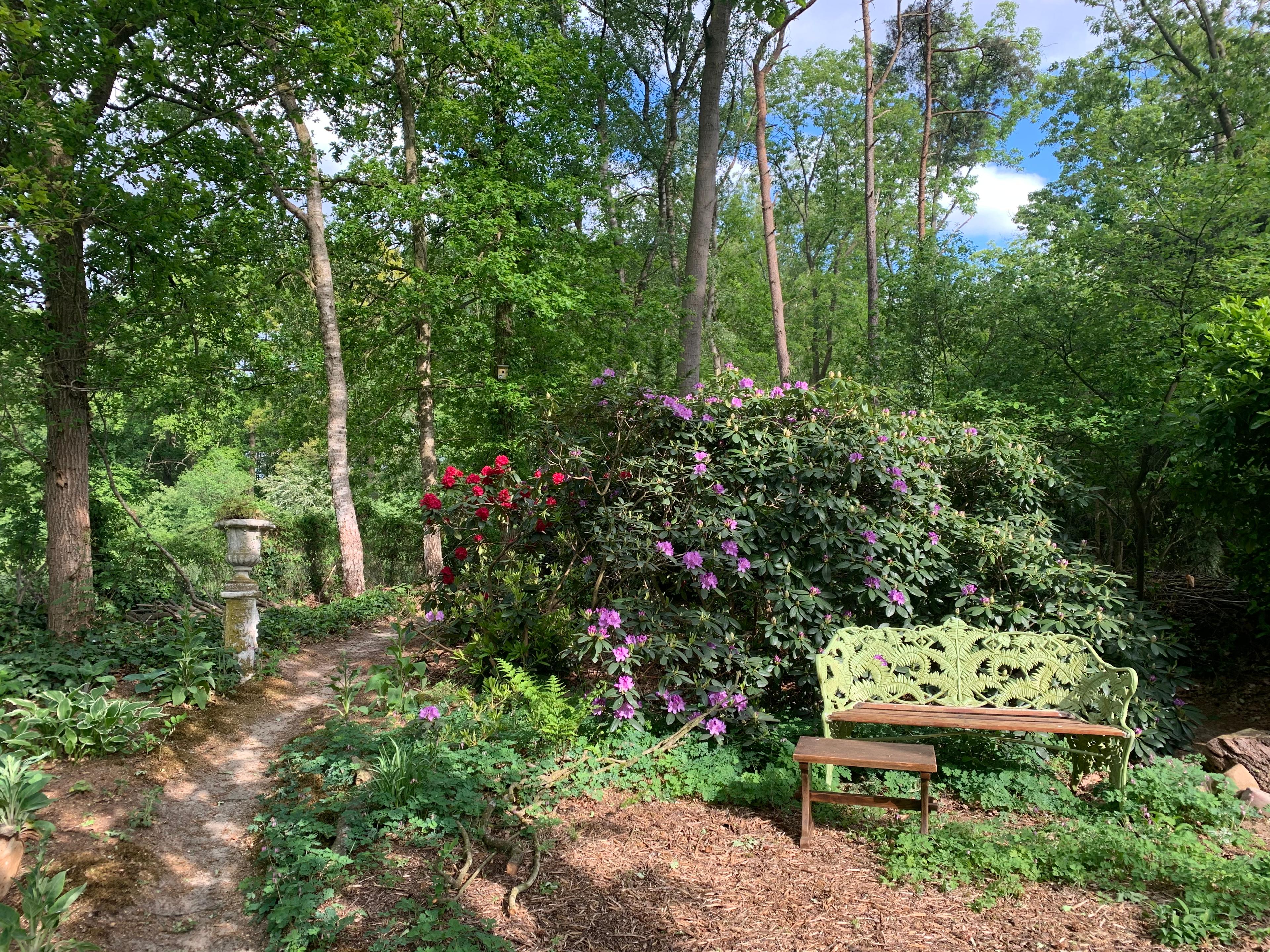Nature house in Harfsen