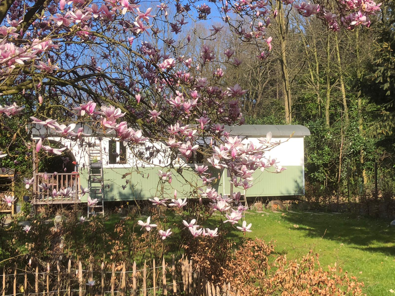Nature house in 