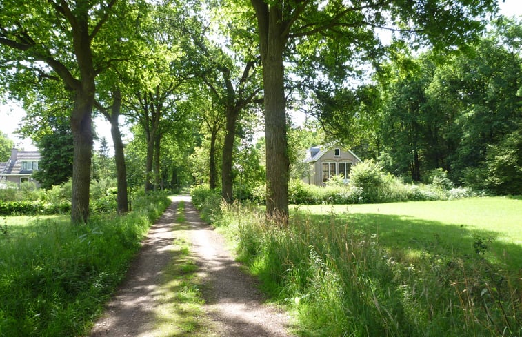 Natuurhuisje 32597 - Huisje In Boijl (Fr.) | Natuurhuisje.nl