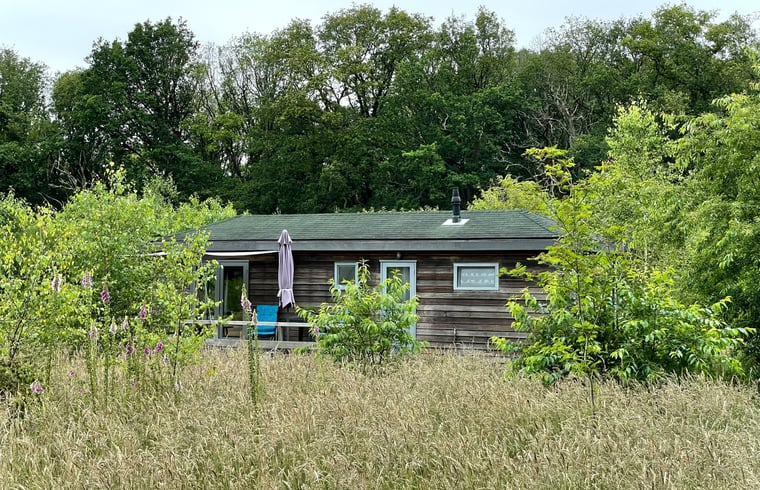 Natuurhuisje in Dwingeloo