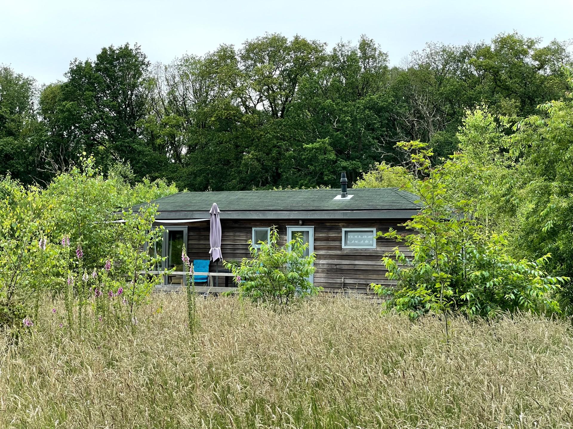 Maison nature à Dwingeloo