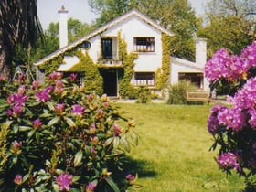 Nature house in Killarney