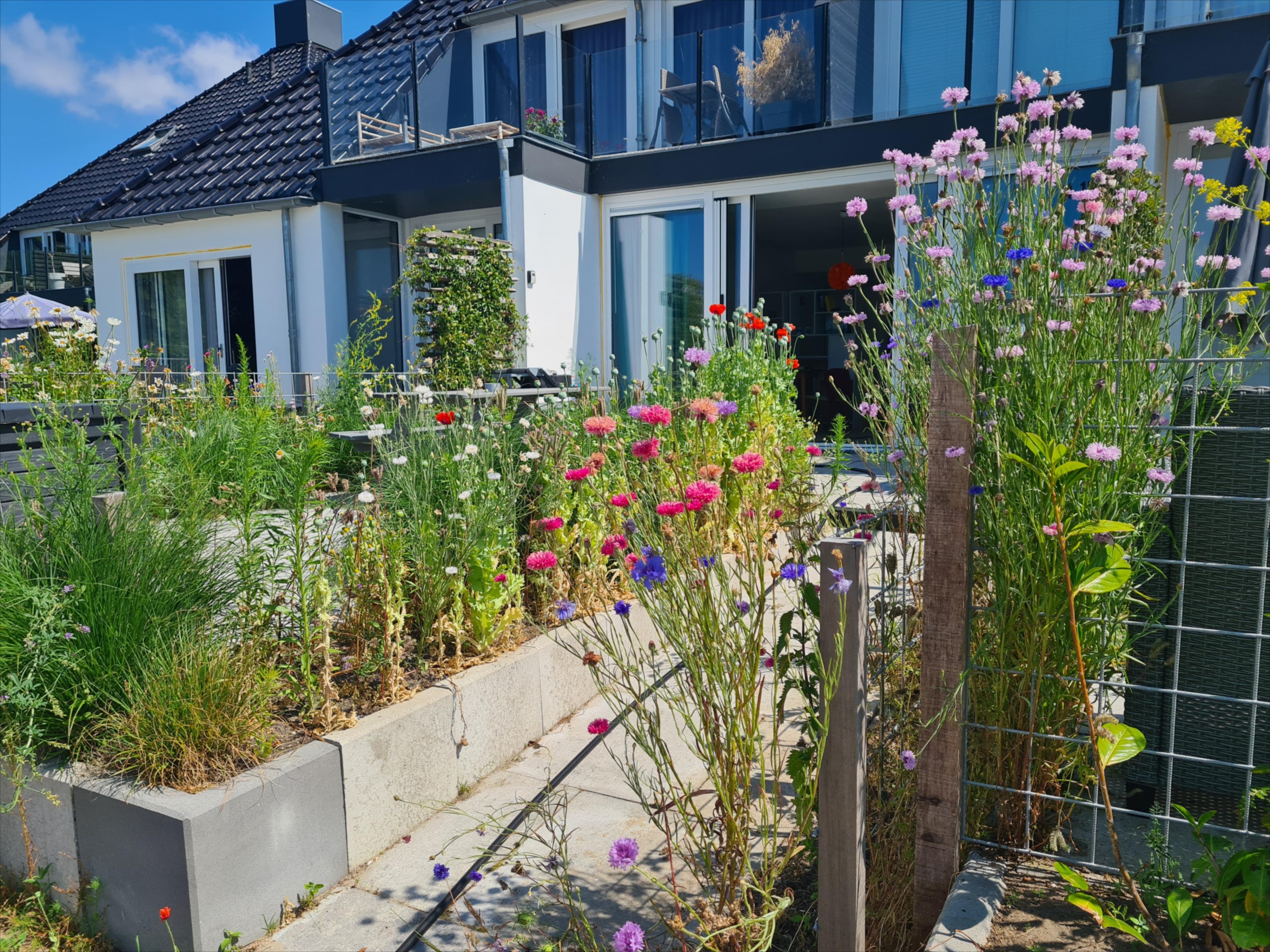 Maison nature à Offingawier/Sneek