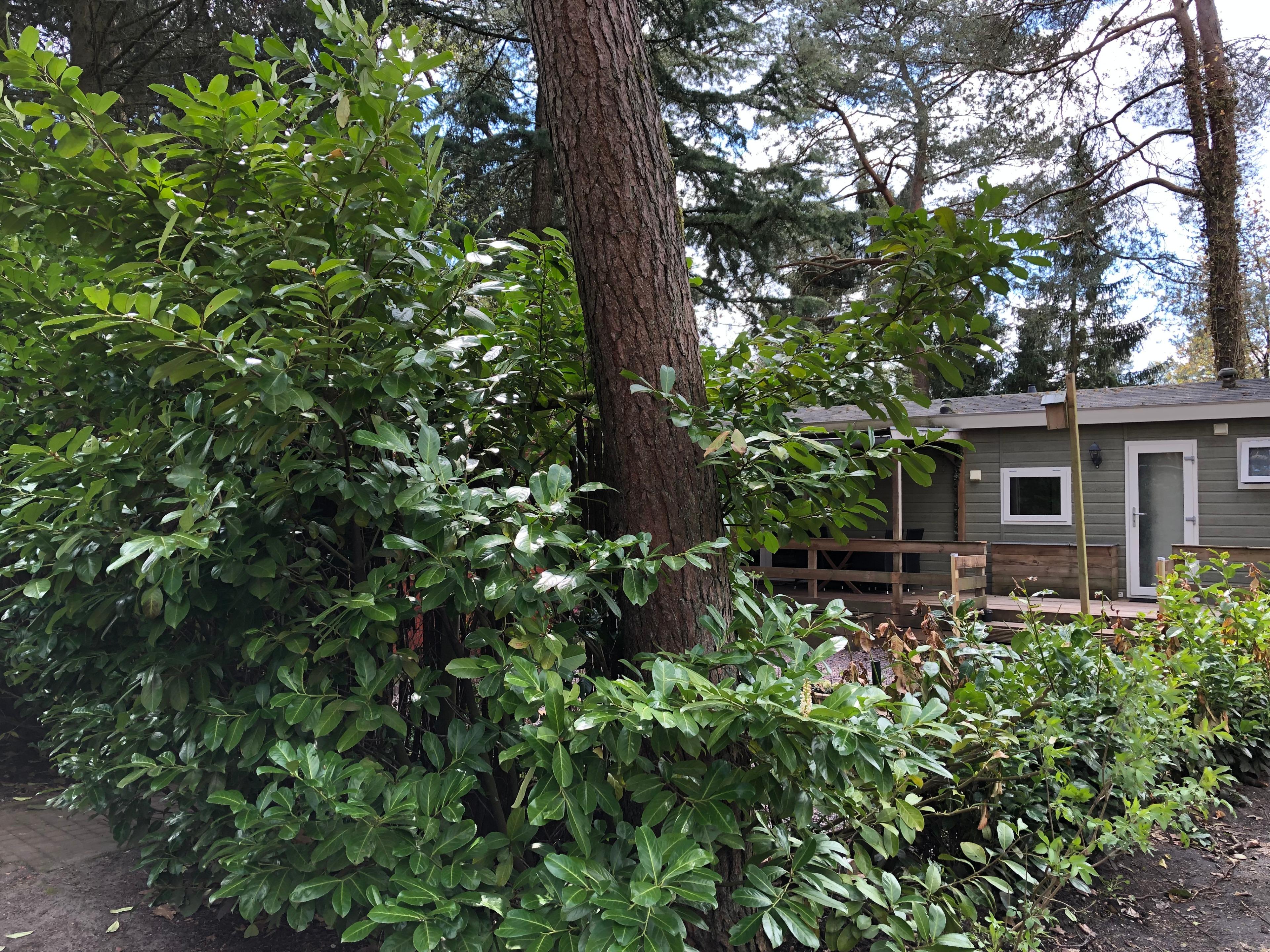 Natuurhuisje in Emst