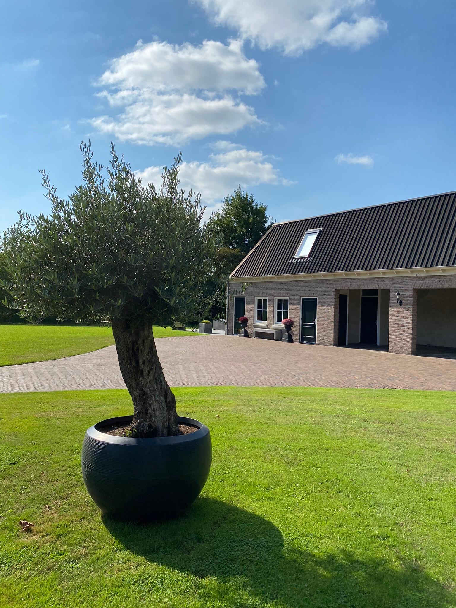 Maison nature à Ambt Delden