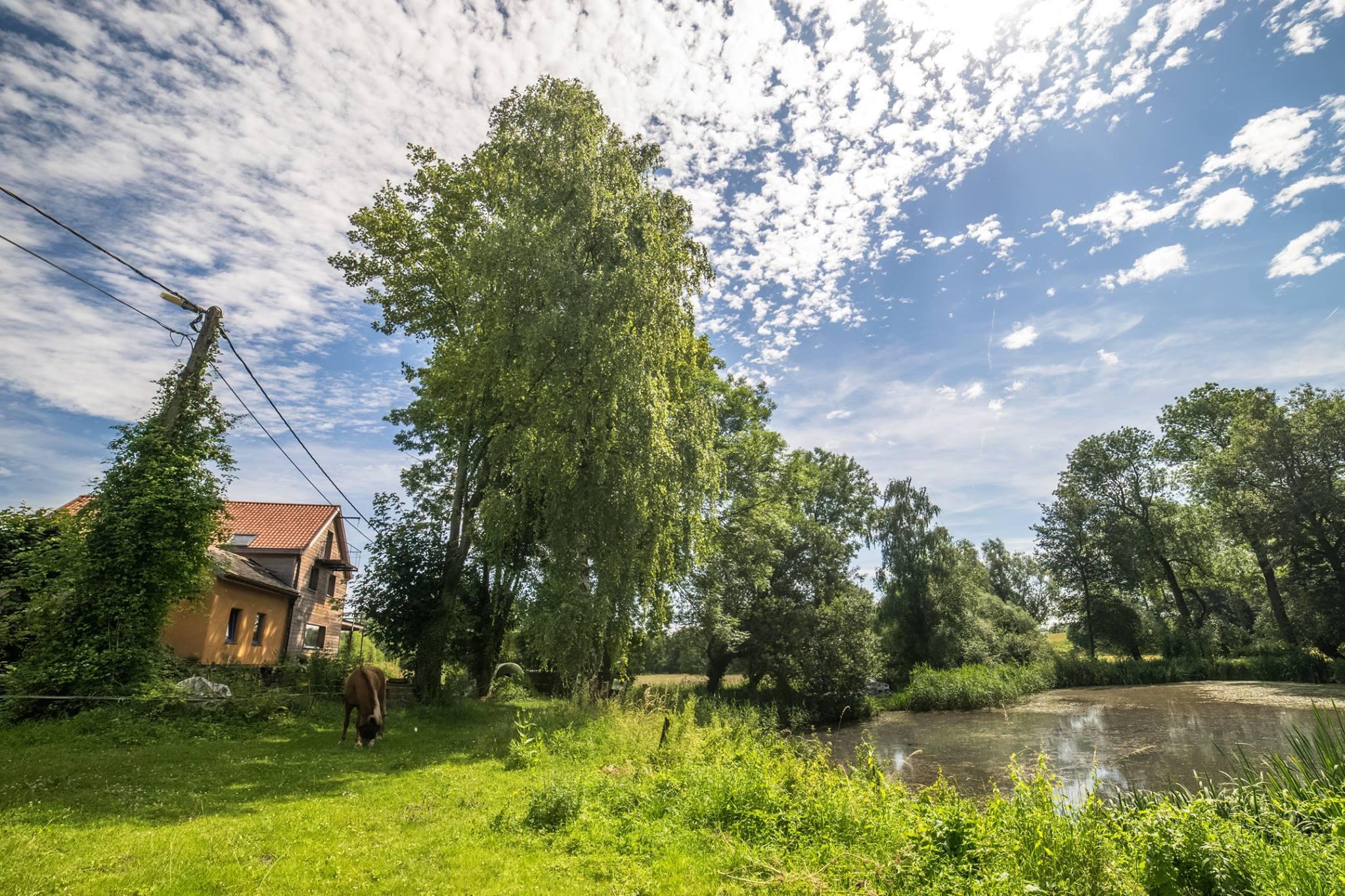 Maison nature à Boutersem
