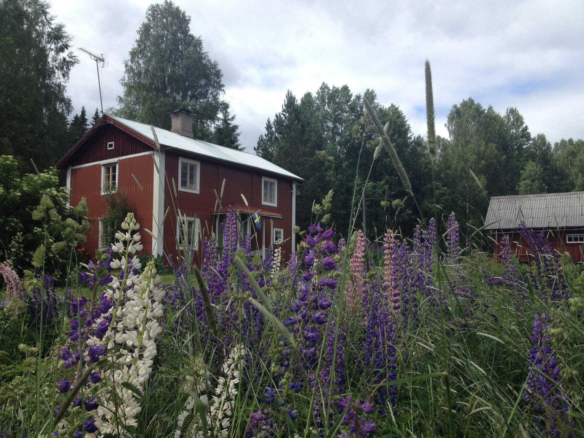Natuurhuisje in Hällefors