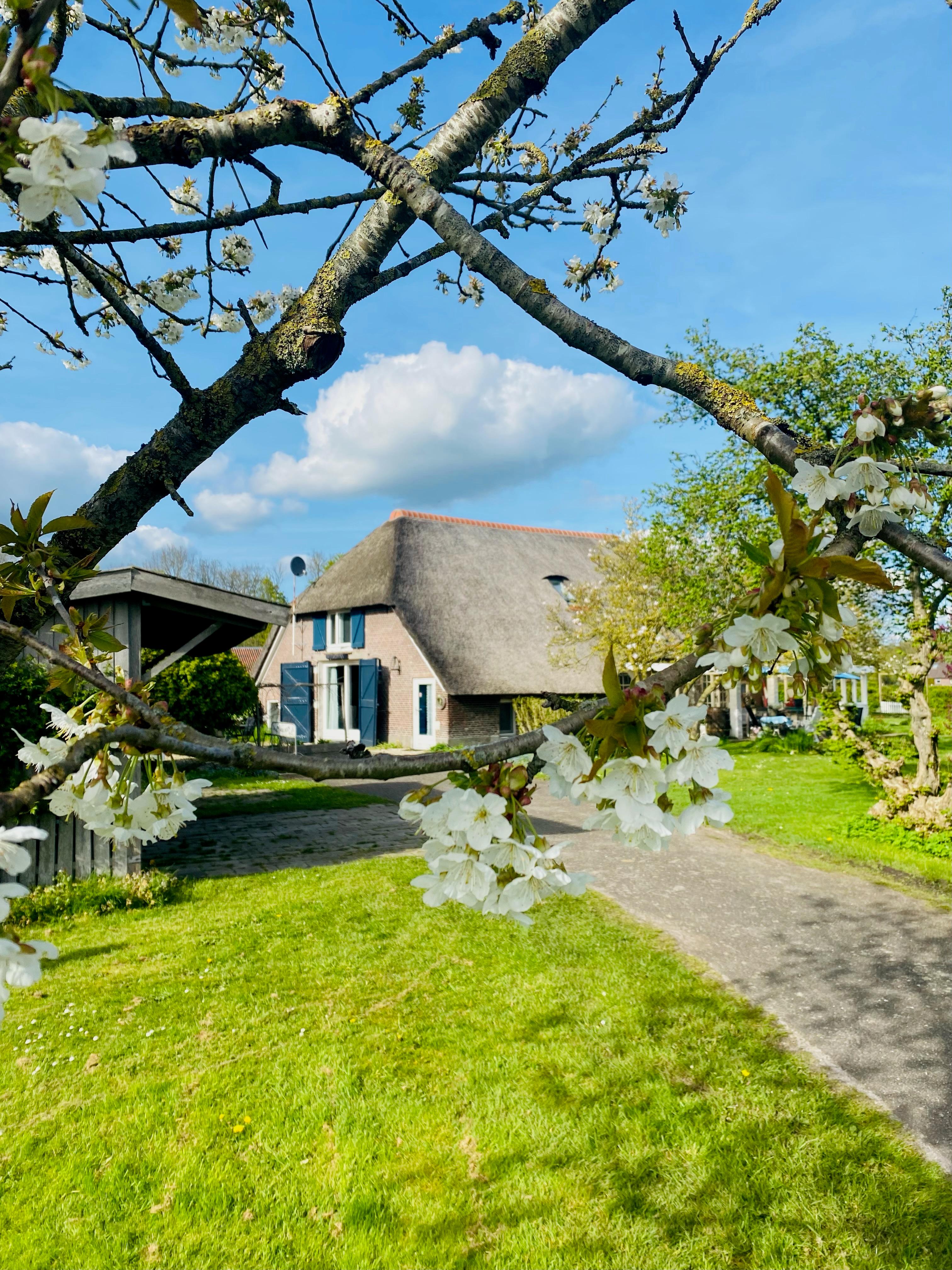 Nature house in Heerde