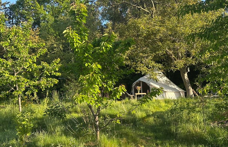 Natuurhuisje in Haasdonk