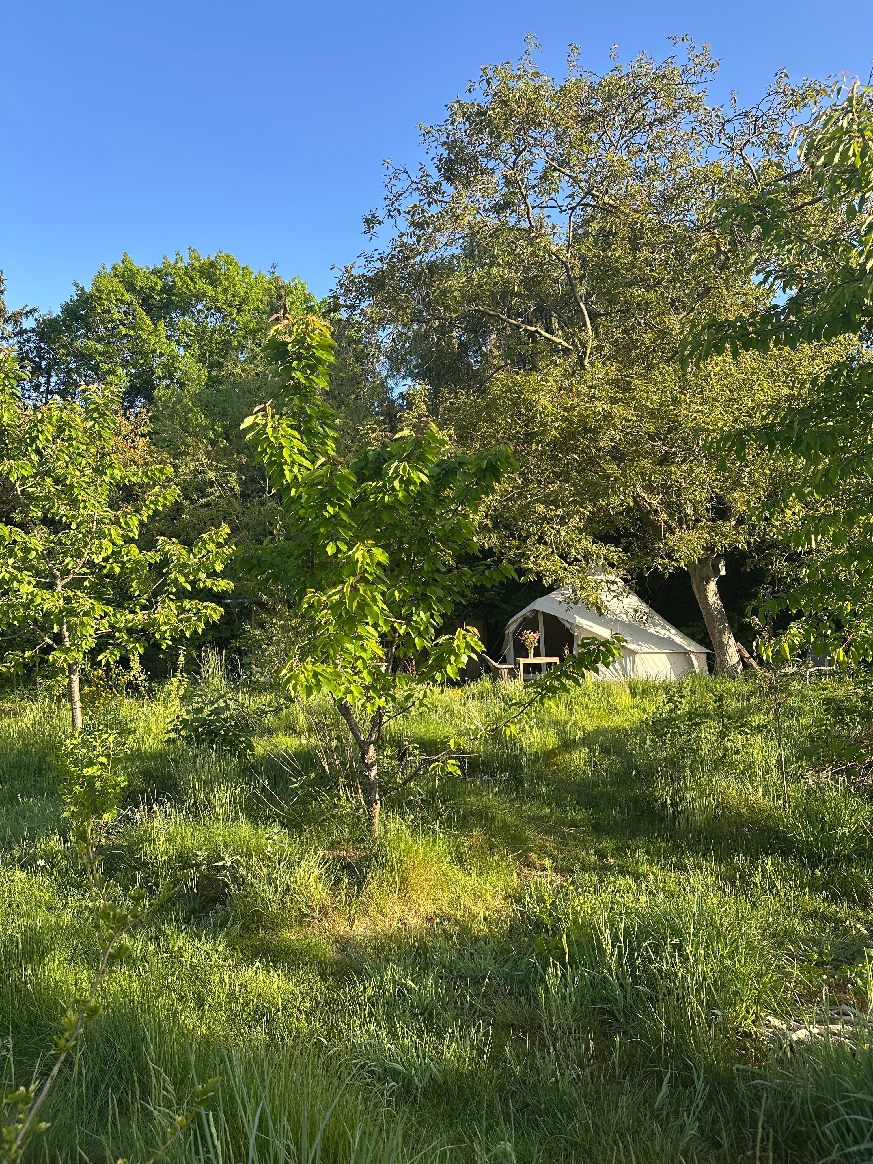 Maison nature à Haasdonk