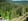 Nature house in BAN SUR MEURTHE