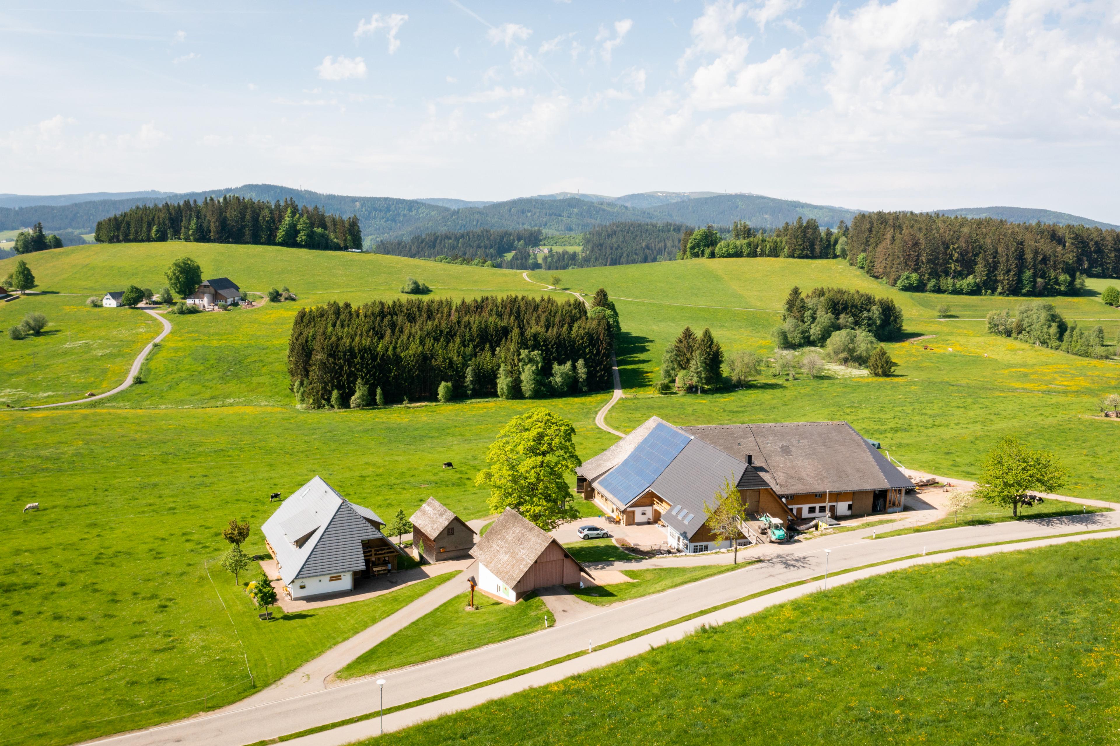 Nature house in Breitnau