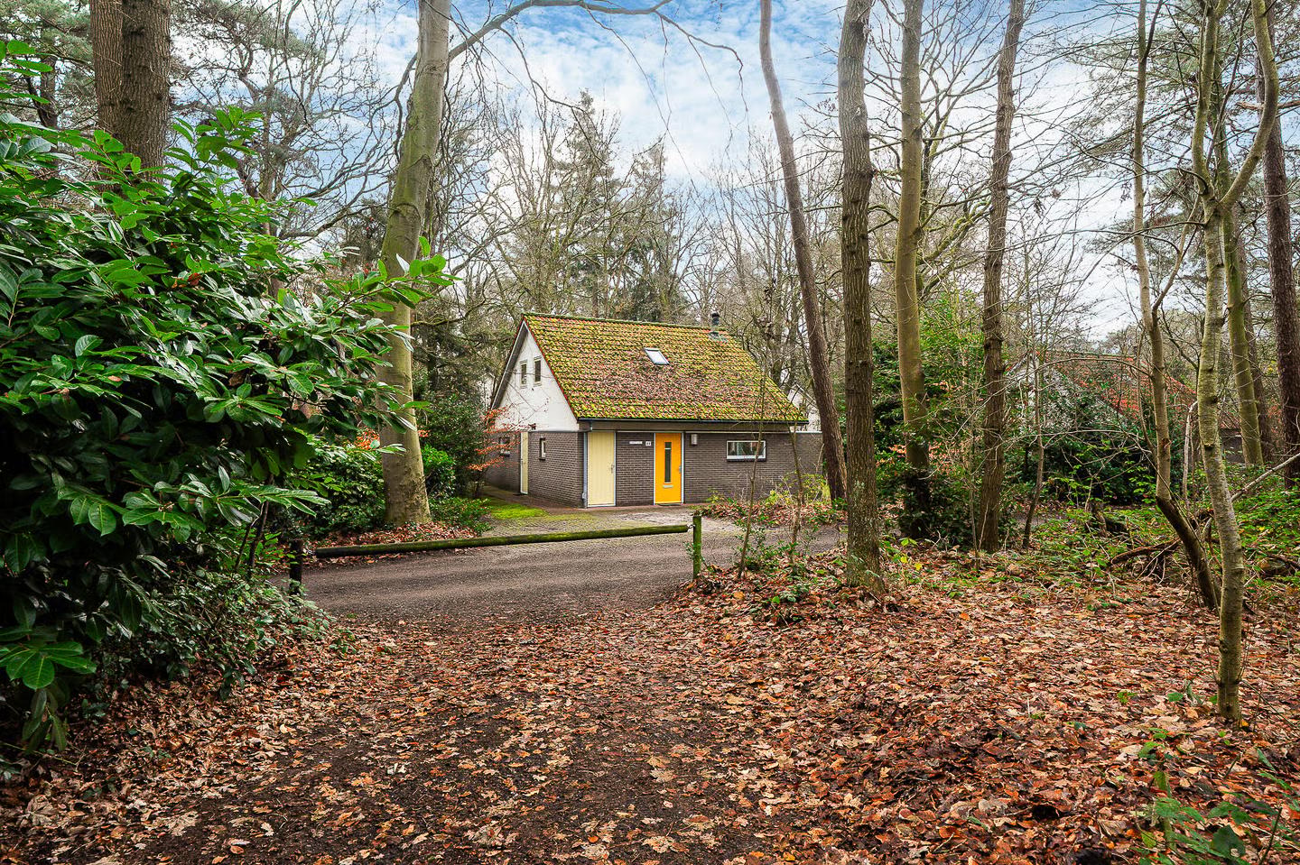 Nature house in Oudemirdum