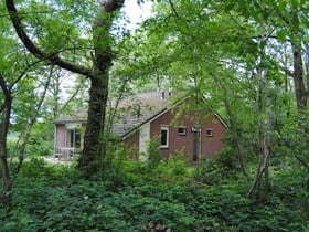 Nature house in Ruinen