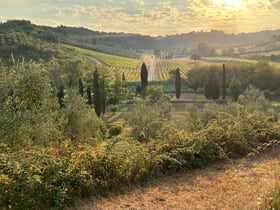 Natuurhuisje in Casciana Terme Lari