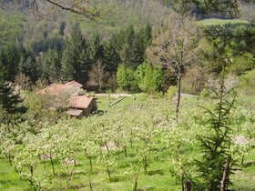 Maison nature à Camaldoli - Parco Nazionale Foreste Casentinesi