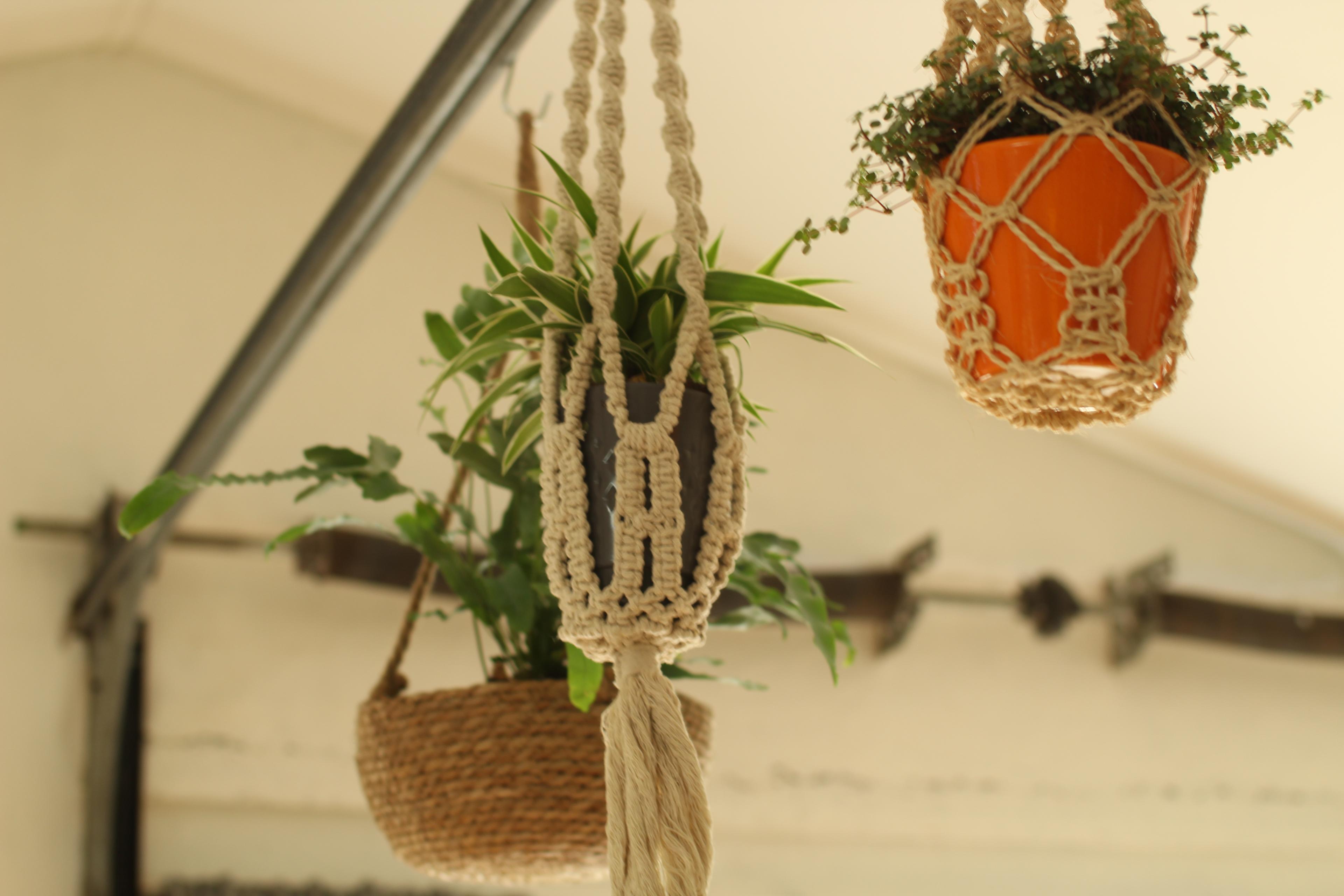 Nature house in 