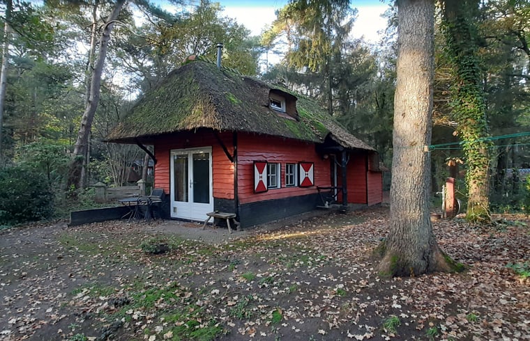 Vakantiehuis in Norg — foto 2