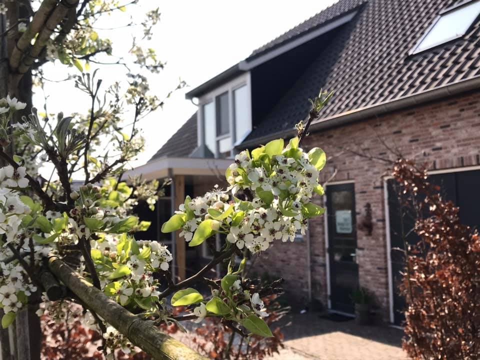 Nature house in Hoornaar