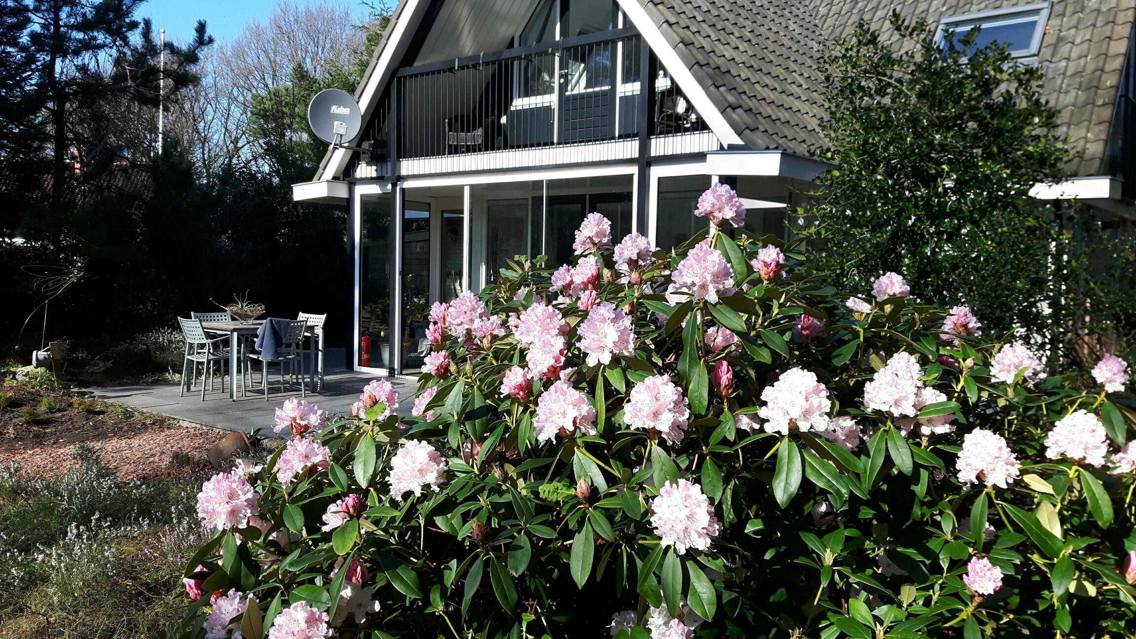 Maison nature à Een