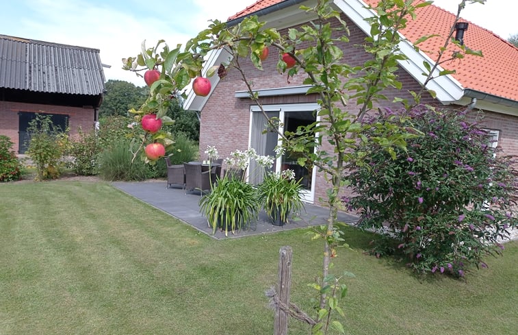 Natuurhuisje in Geesteren