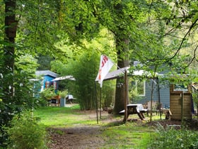 Nature house in IJhorst
